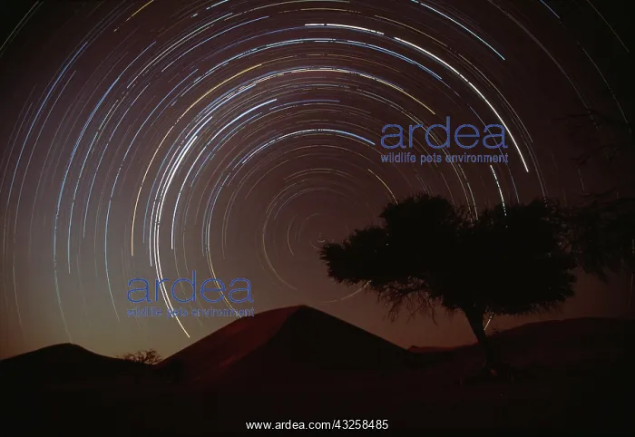 : Namibia, Namib Naukluft National Park, Star : Namibia, Namib Naukluft National Park, Star