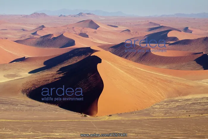 : Namibia, Namib-Naukluft Park. Aerial view : Namibia, Namib-Naukluft Park. Aerial view