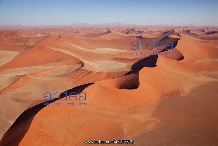 : Namibia, Namib-Naukluft Park, Sossusvlei : Namibia, Namib-Naukluft Park, Sossusvlei