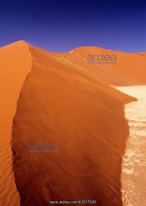 : Namibia: Namibia Desert, Sossusvlei Dunes : Namibia: Namibia Desert, Sossusvlei Dunes