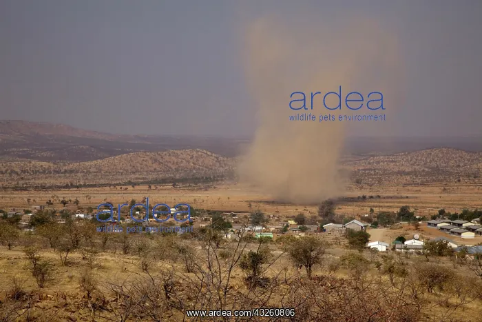 : Namibia, Opuwo. Dust devil forms near town : Namibia, Opuwo. Dust devil forms near town