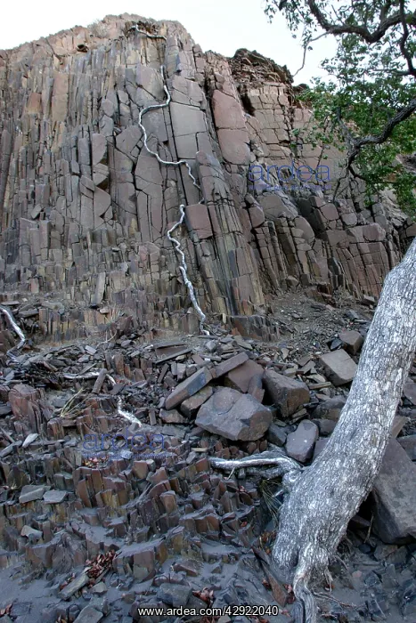 : Namibia - Organ Pipe Rock Formation, columnar structure : Namibia - Organ Pipe Rock Formation, columnar structure