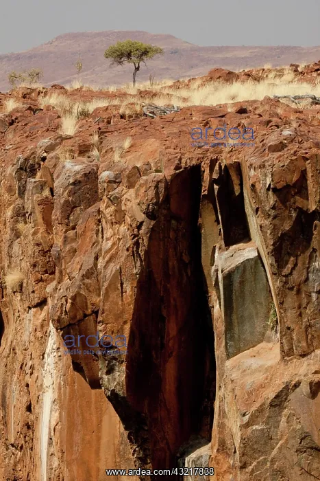 : Namibia, Palmwag Conservancy. View of Uab : Namibia, Palmwag Conservancy. View of Uab