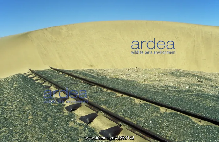 : Namibia - rails and shifting dune (barchan dune) : Namibia - rails and shifting dune (barchan dune)
