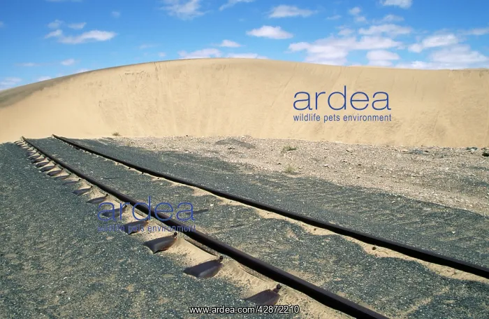 : Namibia - railway line blocked by moving sand dune : Namibia - railway line blocked by moving sand dune