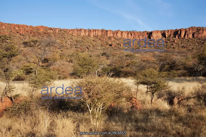 : Namibia - The red sandstone rocks of the Waterberg : Namibia - The red sandstone rocks of the Waterberg
