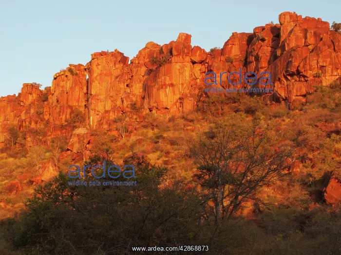 : Namibia - The red sandstone rocks of the Waterberg : Namibia - The red sandstone rocks of the Waterberg