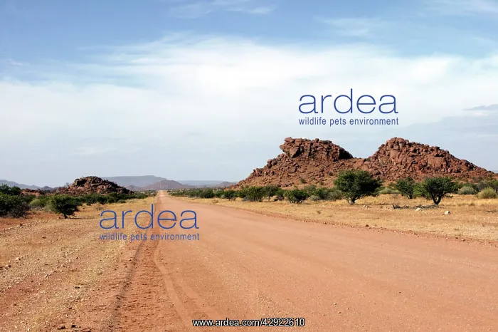 : Namibia - Road near Windhoek : Namibia - Road near Windhoek