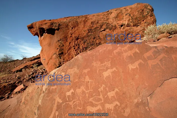 : NAMIBIA - Rock engravings of wildlife : NAMIBIA - Rock engravings of wildlife