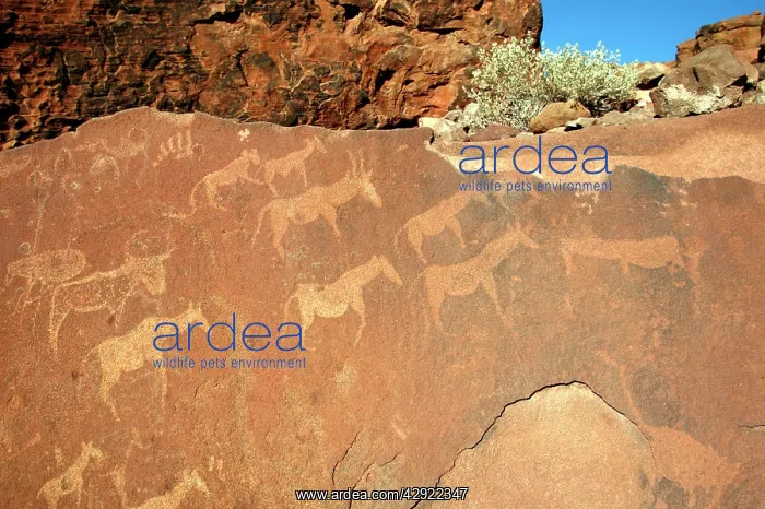 : NAMIBIA - Rock engravings of wildlife : NAMIBIA - Rock engravings of wildlife