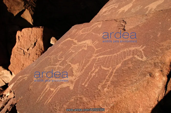 : NAMIBIA - Rock engravings of wildlife : NAMIBIA - Rock engravings of wildlife