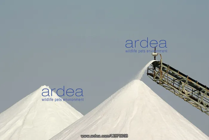 : Namibia - Salt works at the evaporation pans near : Namibia - Salt works at the evaporation pans near