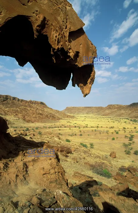 : Namibia - Sandstone rock formation at Twyfelfontein : Namibia - Sandstone rock formation at Twyfelfontein