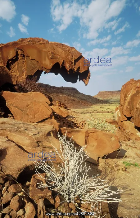 : Namibia - sandstone rock formations at Twyfelfontein : Namibia - sandstone rock formations at Twyfelfontein