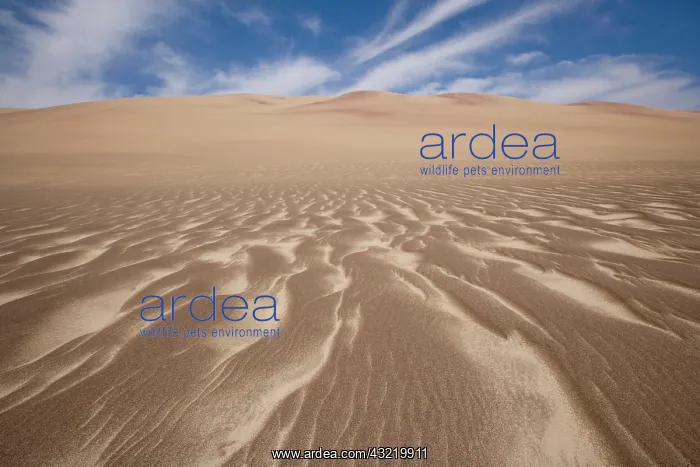 : Namibia, Skeleton Coast Wilderness, Wind : Namibia, Skeleton Coast Wilderness, Wind