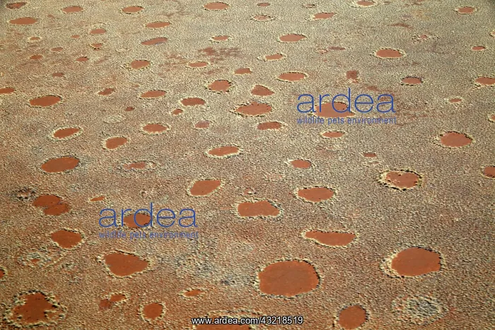 : Namibia, Sossusvlei. Aerial view of fairy : Namibia, Sossusvlei. Aerial view of fairy