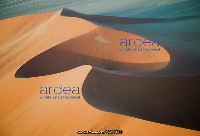 : Namibia, Soussevlei, Great Red Sand Dunes : Namibia, Soussevlei, Great Red Sand Dunes