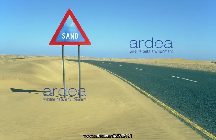 : Namibia - traffic sign in the Namib Desert ist : Namibia - traffic sign in the Namib Desert ist