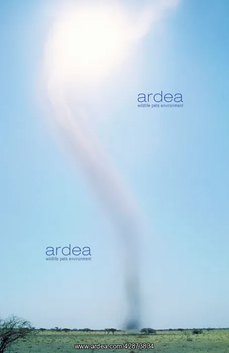 : NAMIBIA - typical Etosha whirlwind, raising dust : NAMIBIA - typical Etosha whirlwind, raising dust