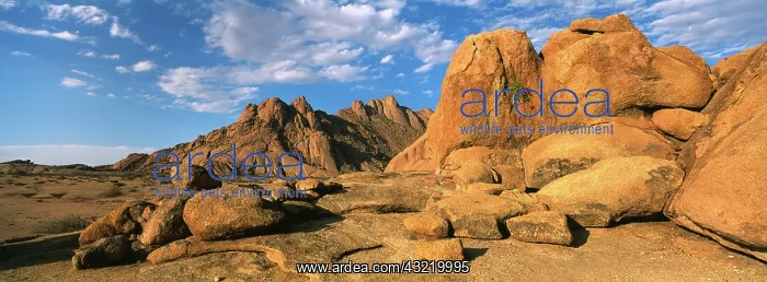 : Namibia, Usakos, Setting sun lights granite : Namibia, Usakos, Setting sun lights granite