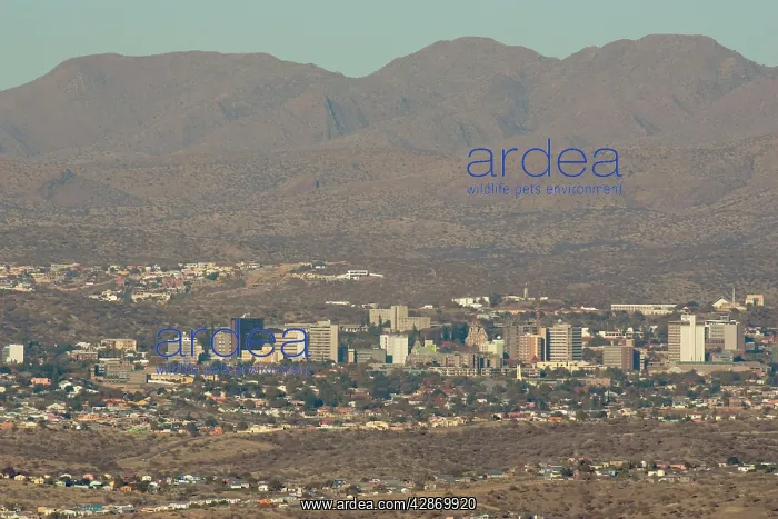 : Namibia - View of the capital Windhoek with the : Namibia - View of the capital Windhoek with the