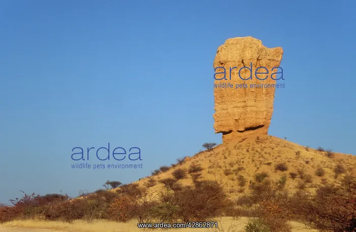  : Namibia - the Vingerklip (Rock Finger) in the Damaraland