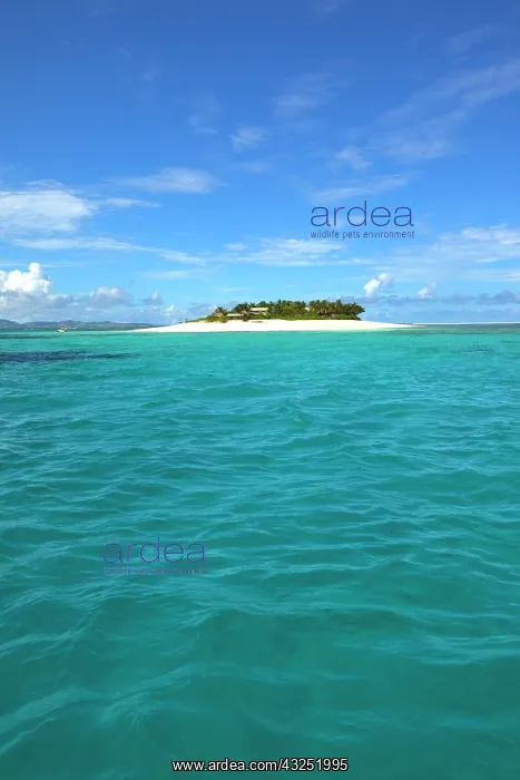 : Namotu Island, Mamanucas, Fiji : Namotu Island, Mamanucas, Fiji