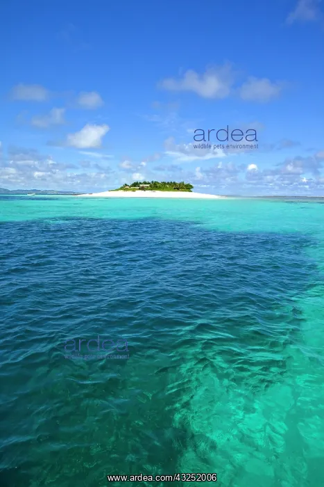 : Namotu Island, Mamanucas, Fiji : Namotu Island, Mamanucas, Fiji