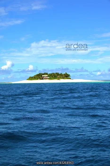  : Namotu Island, Mamanucas, Fiji