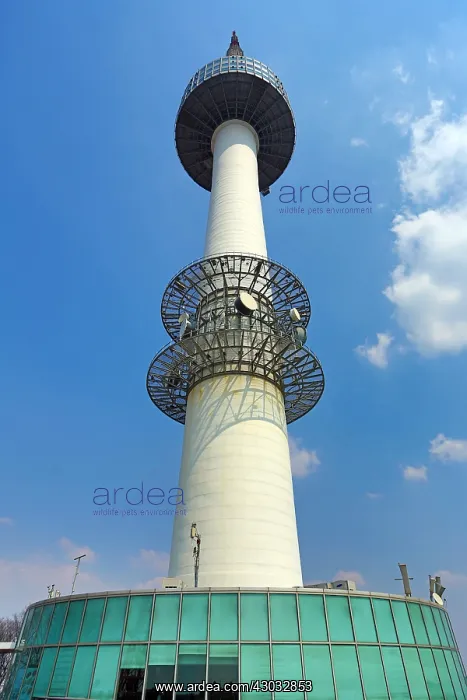 : Namsan Tower, Seoul, Korea : Namsan Tower, Seoul, Korea