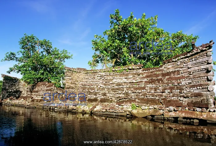 : Nan Douwas, largest of the ruins Nan Madol (c.1200 AD) : Nan Douwas, largest of the ruins Nan Madol (c.1200 AD)