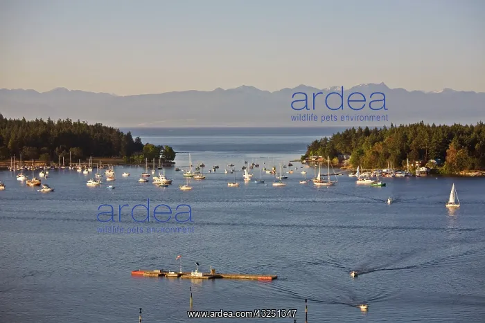 : Nanaimo, Vancouver Island, British Columbia : Nanaimo, Vancouver Island, British Columbia