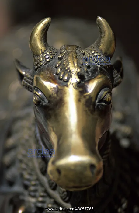 : Nandi sculpture in metal Mandi Himachal Pradesh India : Nandi sculpture in metal Mandi Himachal Pradesh India