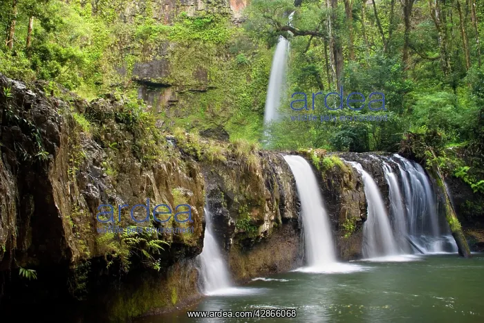 : Nandroya Falls - waterfall located in tropical rainforest : Nandroya Falls - waterfall located in tropical rainforest