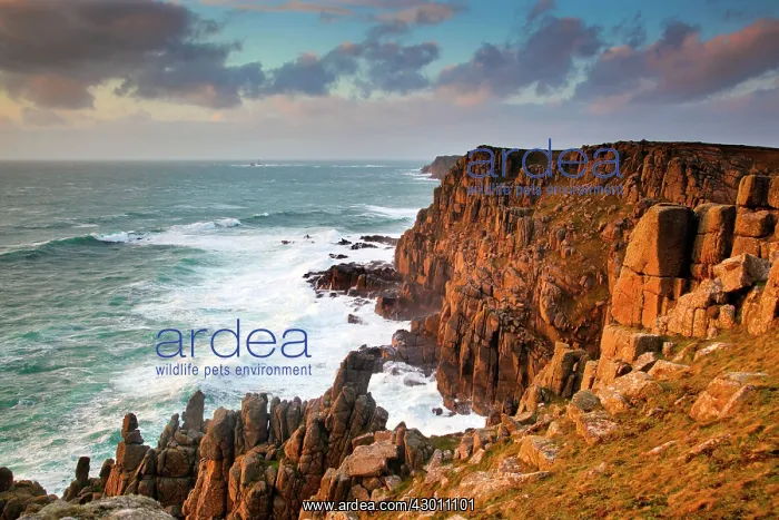 : Nanjizal - view looking towards Land's End : Nanjizal - view looking towards Land's End