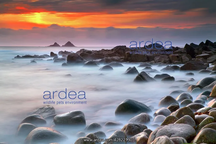 : Nanjulian - view towards the Brisons - Sunset : Nanjulian - view towards the Brisons - Sunset