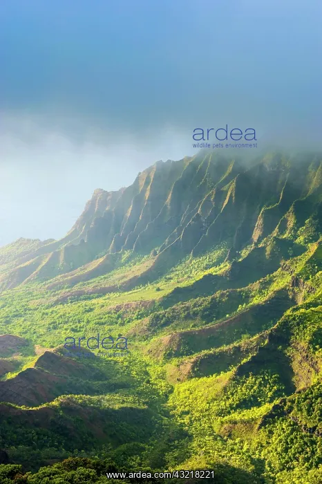 : Napali coast with green mountains seen from the : Napali coast with green mountains seen from the