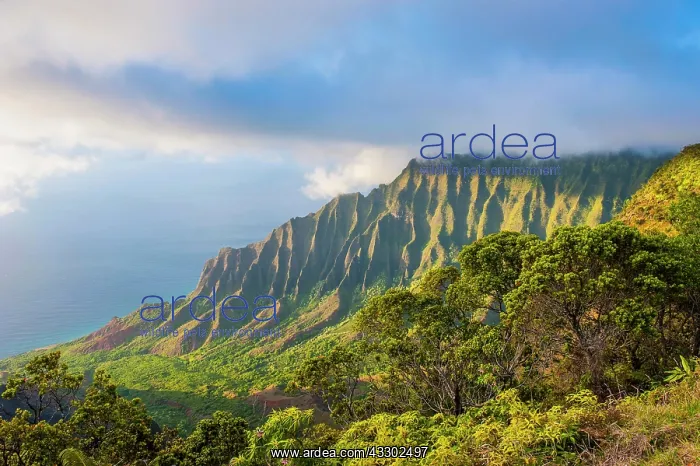 : Napali coast with green mountains seen from the : Napali coast with green mountains seen from the