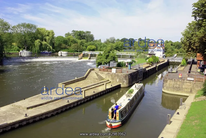  : Narrow Boat - going in to a canal lock