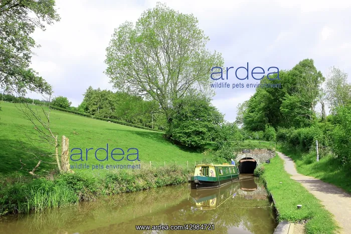 : Narrow Boat - Monmouth and Brecon Canal : Narrow Boat - Monmouth and Brecon Canal