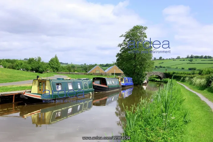 : Narrow Boats - Monmouth and Brecon Canal : Narrow Boats - Monmouth and Brecon Canal
