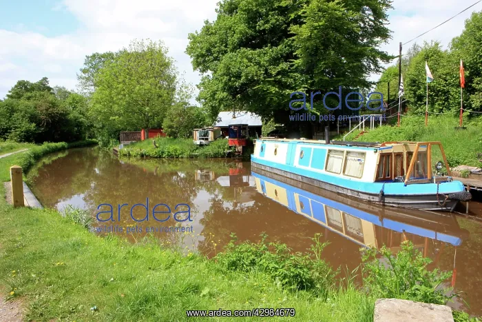 : Narrow Boats - Monmouth and Brecon Canal : Narrow Boats - Monmouth and Brecon Canal