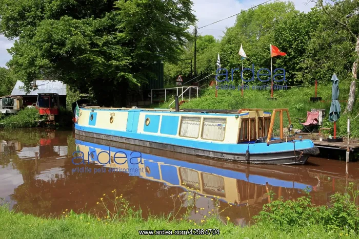 : Narrow Boats - Monmouth and Brecon Canal : Narrow Boats - Monmouth and Brecon Canal