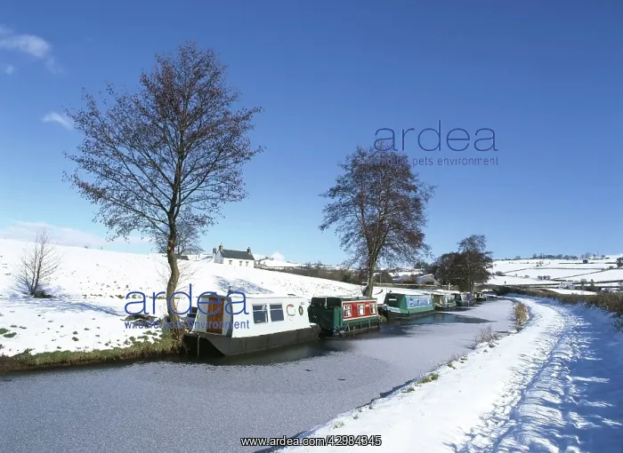 : Narrow Boats - and tow path in winter snow : Narrow Boats - and tow path in winter snow