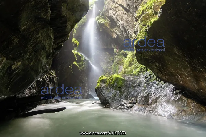 : Narrow gorge with waterfall, Wilson Creek, Haast : Narrow gorge with waterfall, Wilson Creek, Haast