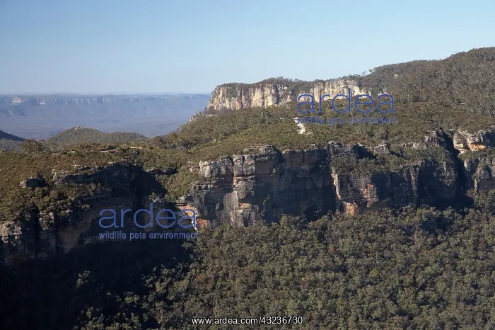 : Narrow Neck, Katoomba, Blue Mountains, New : Narrow Neck, Katoomba, Blue Mountains, New