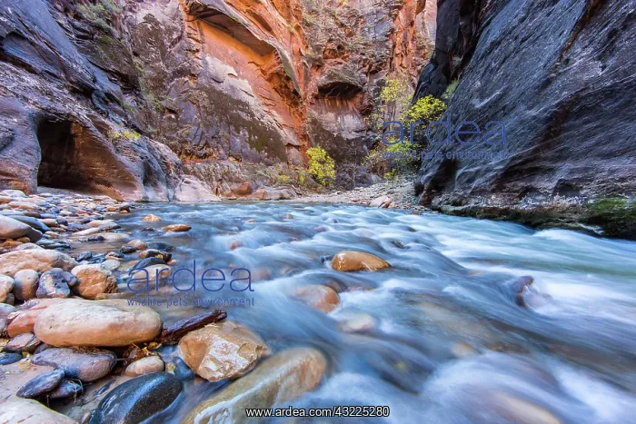 : The Narrows of the Virgin River in autumn : The Narrows of the Virgin River in autumn