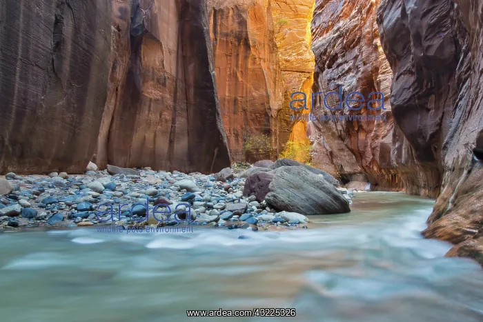 : The Narrows of the Virgin River in autumn : The Narrows of the Virgin River in autumn