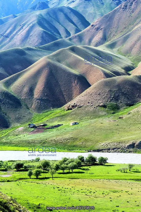 : Naryn Gorge, Naryn Region, Kyrgyzstan, Asia : Naryn Gorge, Naryn Region, Kyrgyzstan, Asia