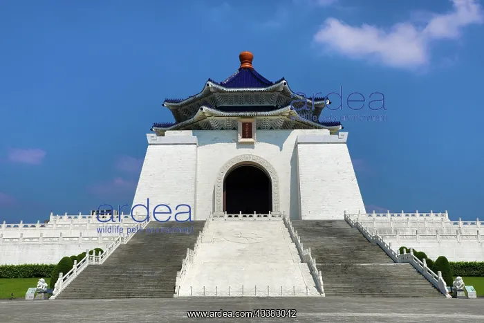 : National Chiang Kai-Shek Memorial Hall, Taipei, Taiwan : National Chiang Kai-Shek Memorial Hall, Taipei, Taiwan